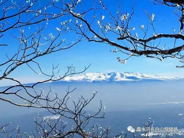 探讨交流,畅所欲言——12年捷达伙伴鼓风机电阻是多大的问答平台