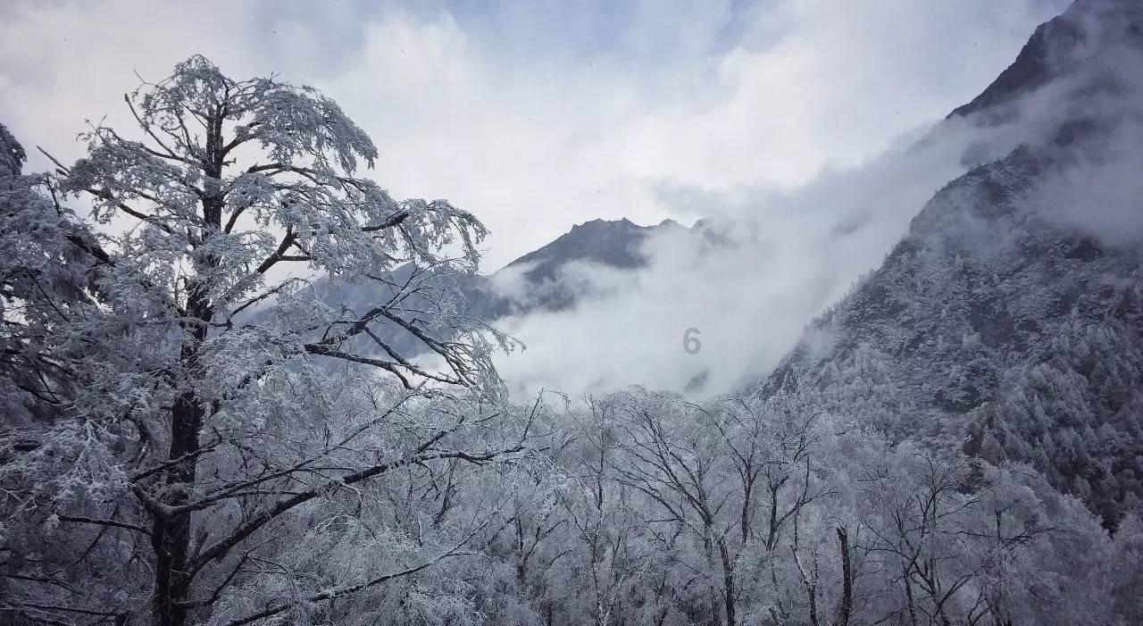 探索蜗牛世界，尽在为什么汽车油浮子油位传感器会坏？油表不准确。问答平台